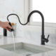 Black Kitchen and Bathroom Faucets with Pull Down Sprayer